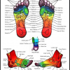 Reflexology Screen Shot 2014-11-25 at 10.42.35 AM